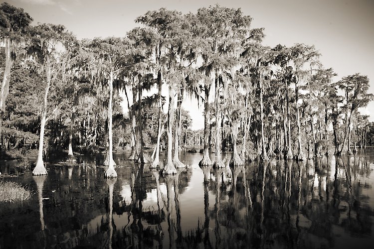 [s_Banks_Lake.jpg]