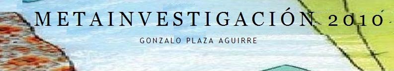 Metainvestigación 2010