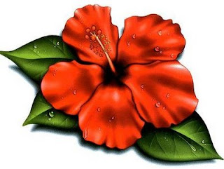 tattoo flor de lotus feminina