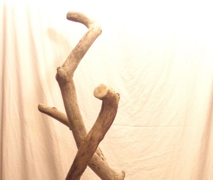 DRIFTWOOD FURNITURE DRIFTWOOD CAT TREE