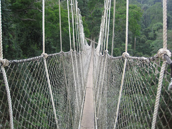 swinging bridge