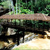 Bogoda Bridge -wooden bridge in Sri Lanka