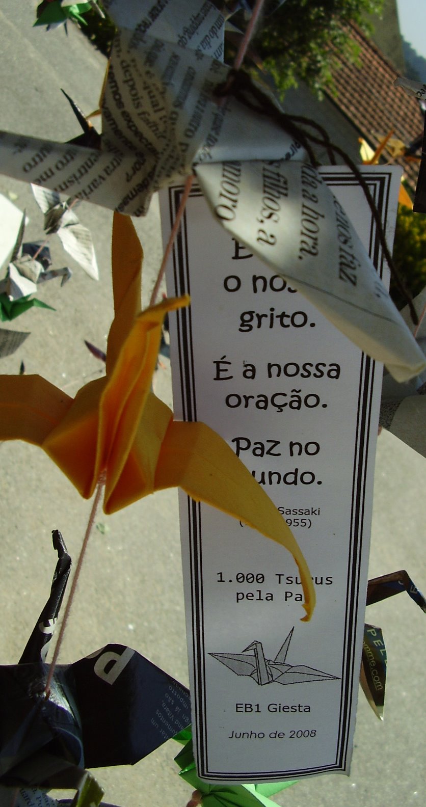 [P6250003.JPG]