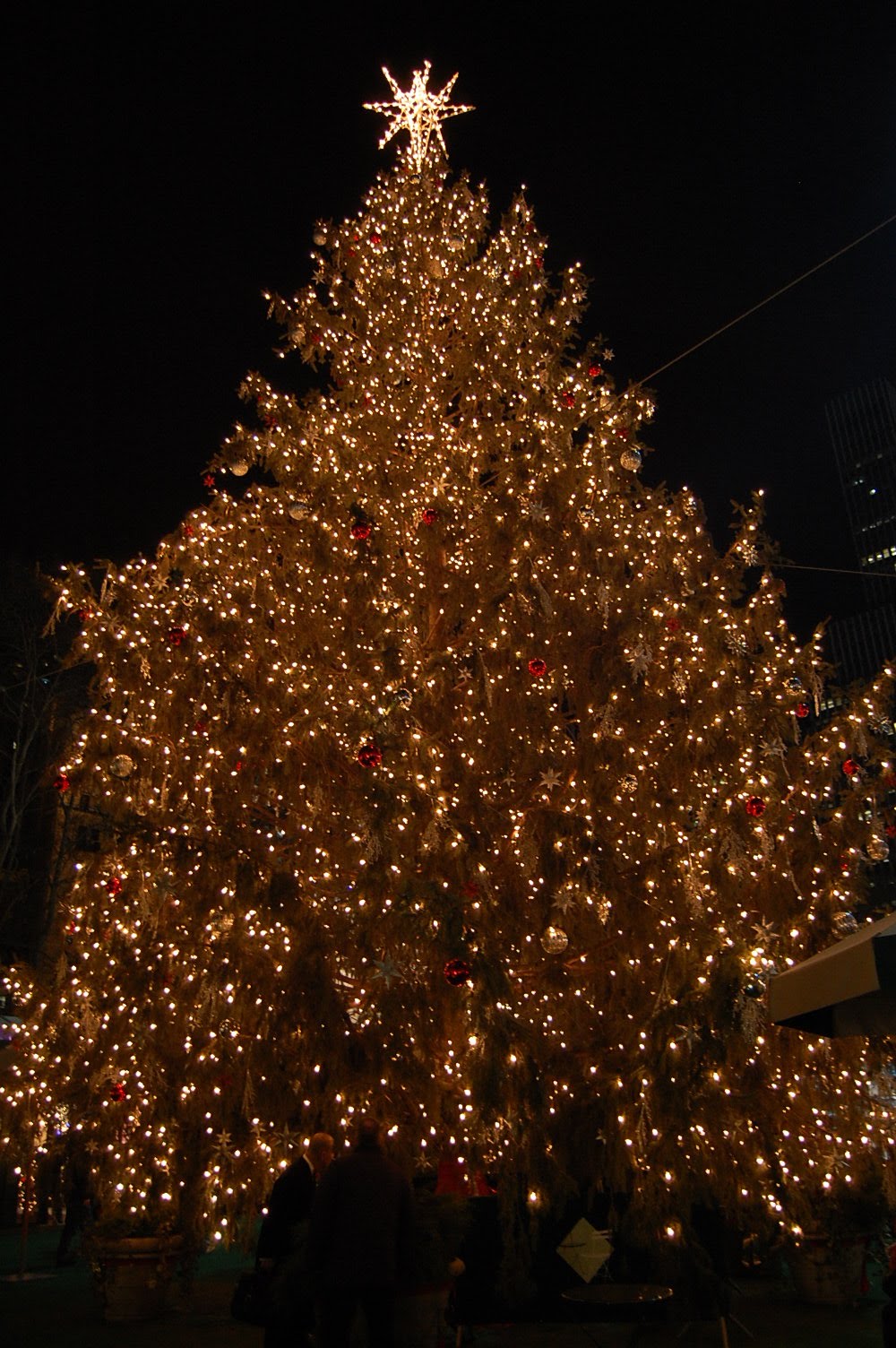 [DSC_0011.JPG]