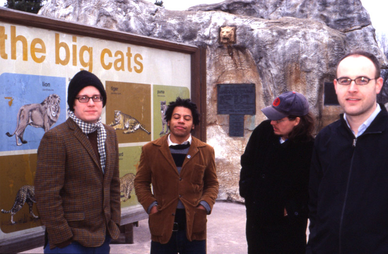 the+big+cats.jpg