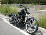 HARLEY DAVIDSON  JAPAN