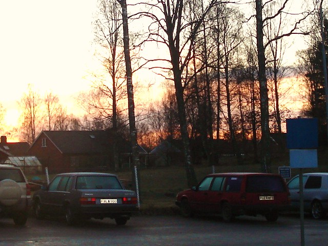 [DSC03065.JPG]