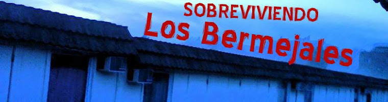 Sobreviviendo Los Bermejales