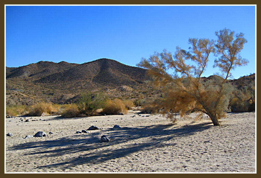 Enjoy The Journey Carrizo Canyon