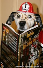 Sparkles has read, "Sparkles the Fire Safety Dog." Have you?