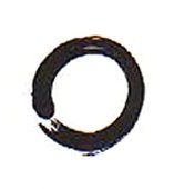 [enso.jpg]