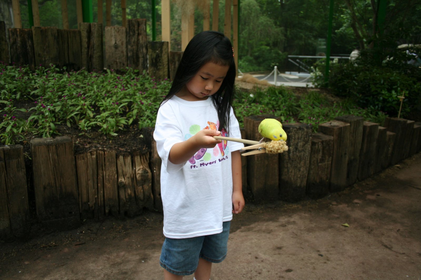 [IMG_1687.JPG]