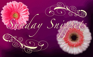 Sunday Snippets #3