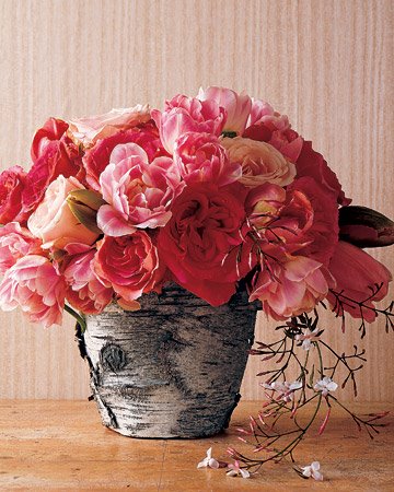 [msl_jun06_bark_pot_xl.jpg]