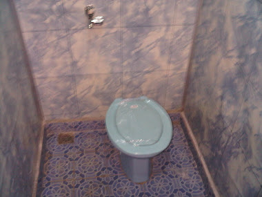dlm toilet