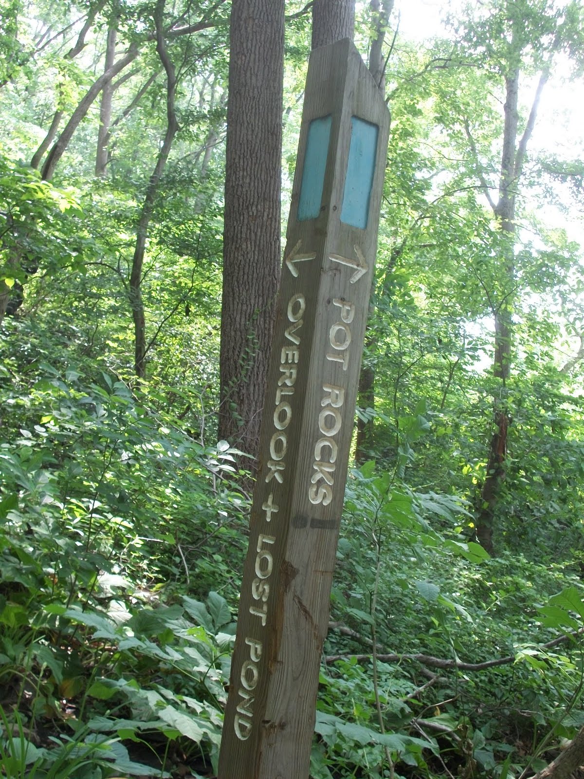 Trailing On Big Gunpowder Falls State Park