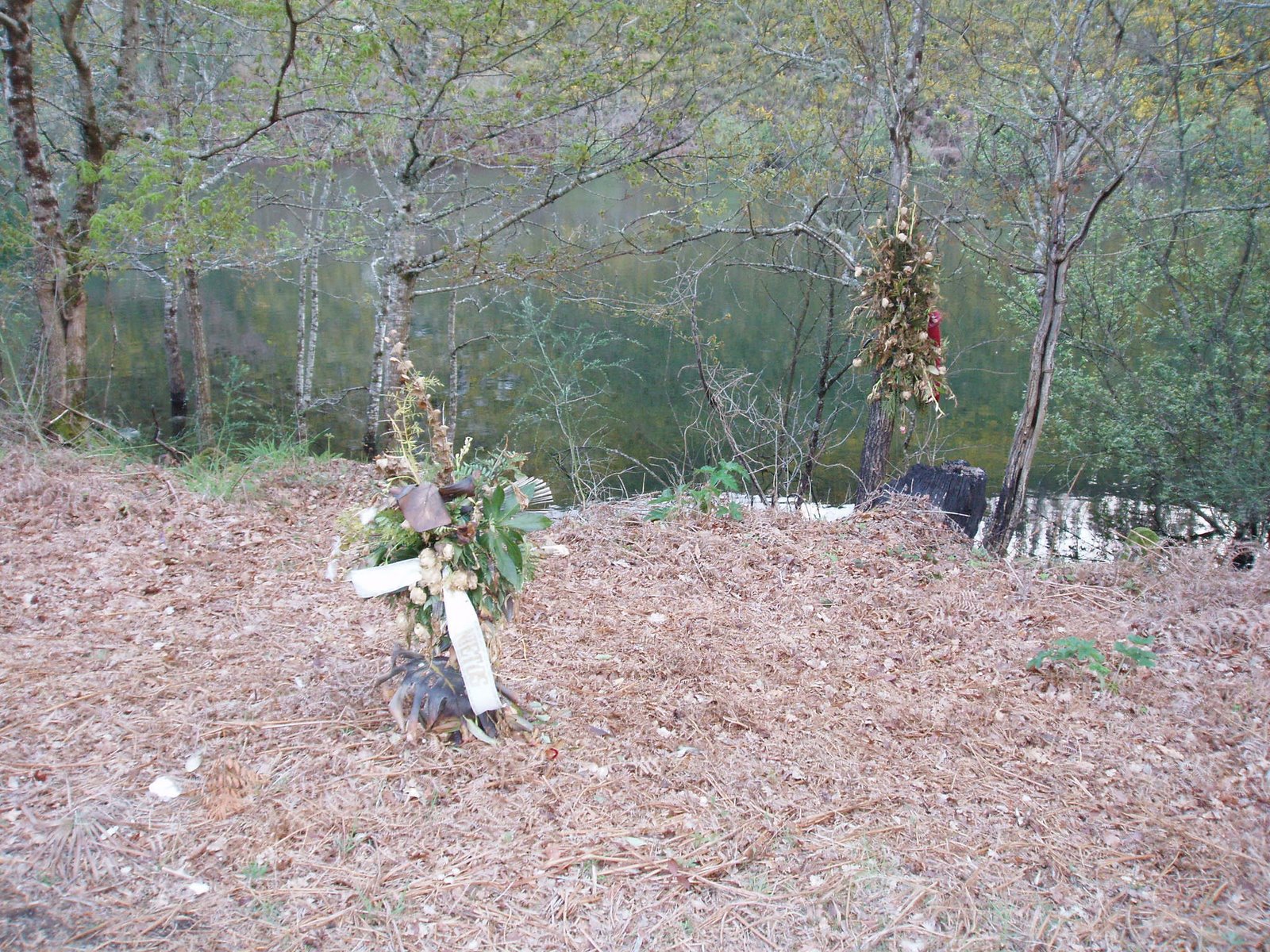 [P4130500.JPG]