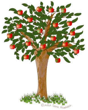 Apple Tree Boy