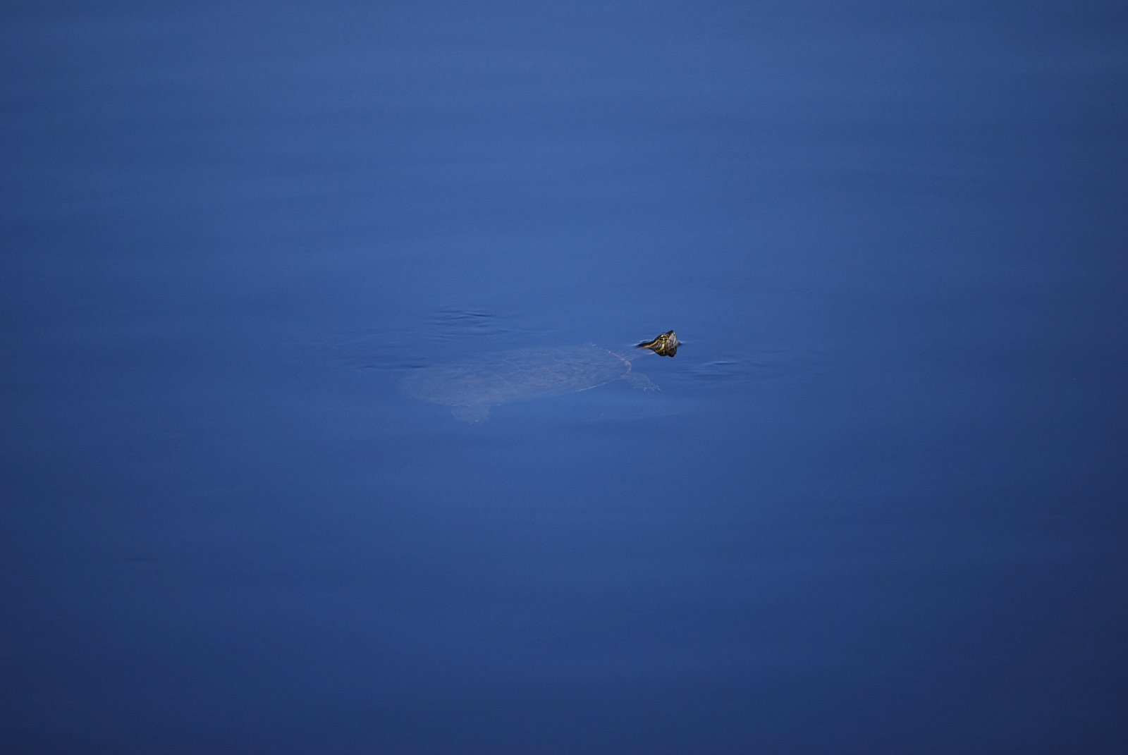 [DSC_0091.JPG]