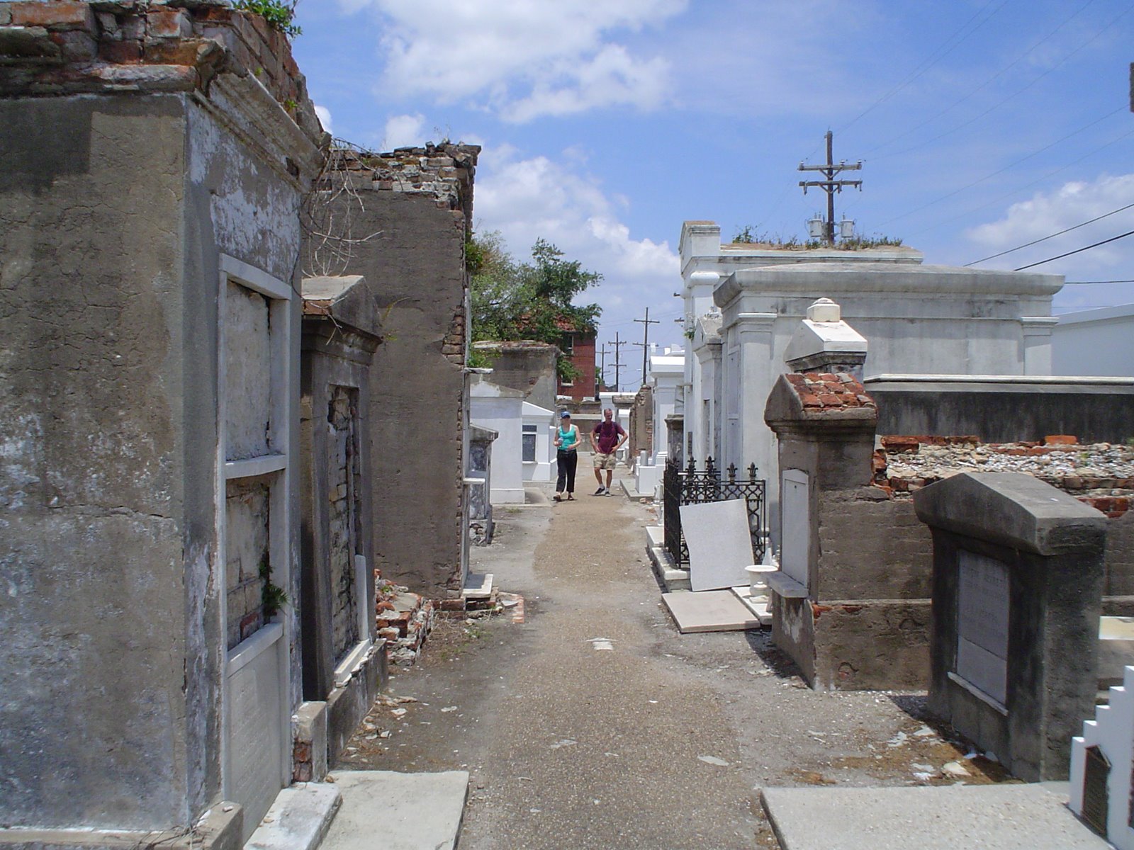 [DSC04224.JPG]