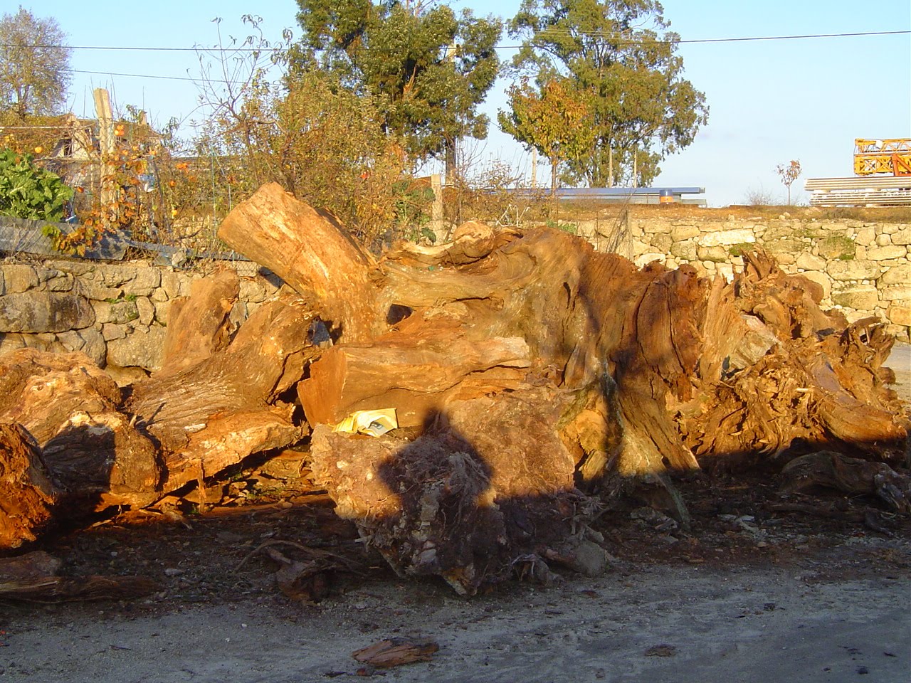 [DSC02364.JPG]