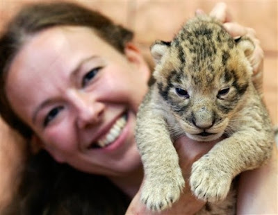 Belgrade Zoo