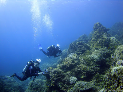 Pirate Divers Bruce and Simon coming up from Coral Canyon Wreck, Pemuteran, Bali
