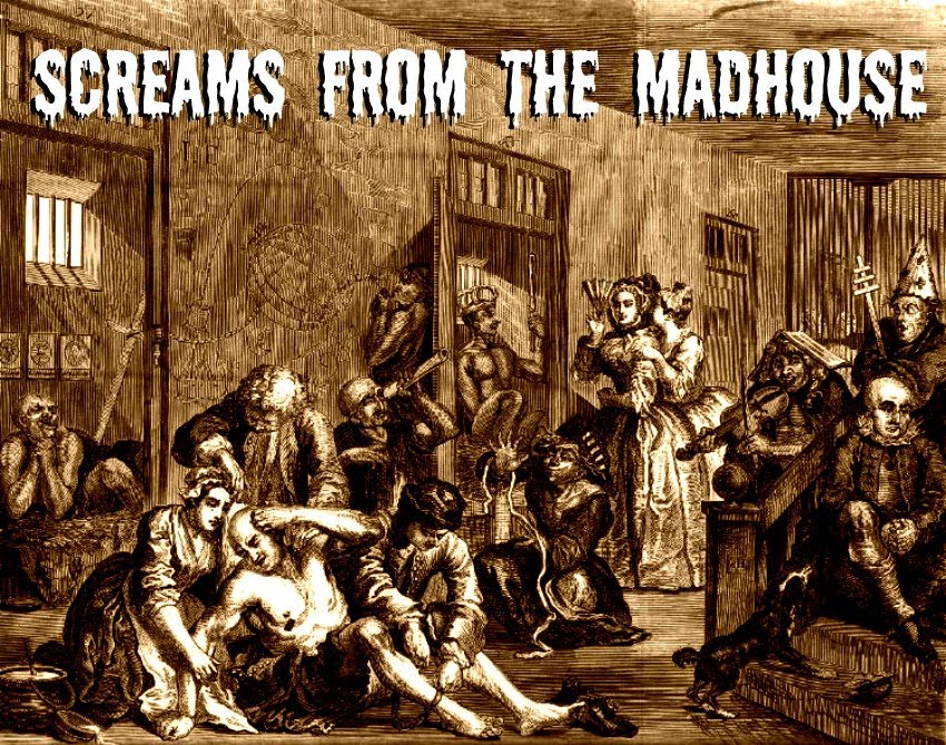 Screams From The Mad House