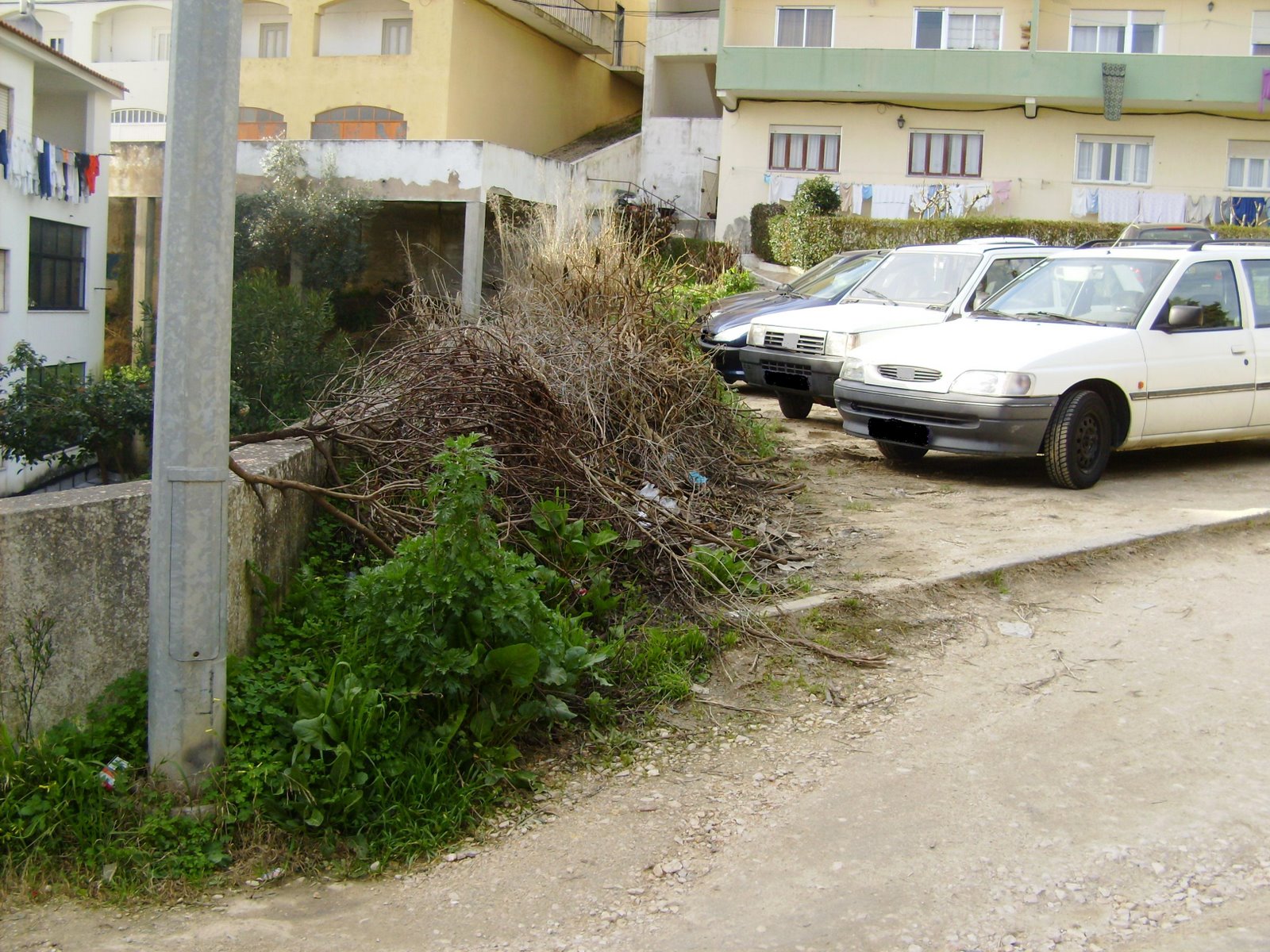 [Lixo+rua+cor..JPG]