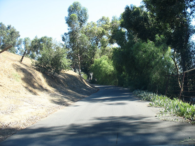 Old Carbon Canyon Road near Carriage Hills #2