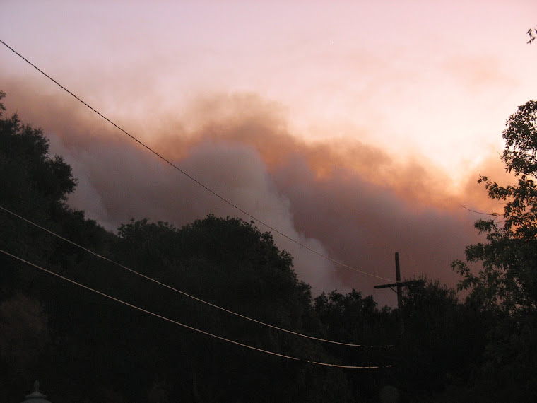 Triangle Complex Fire: Headed Toward Carbon Canyon