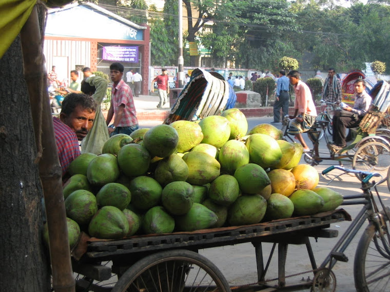Streetlife in Dhaka- Selling Coconut