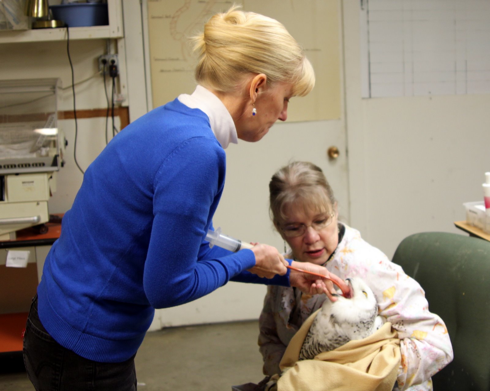 Bird Treatment and Learning Center It's snowy at TLC