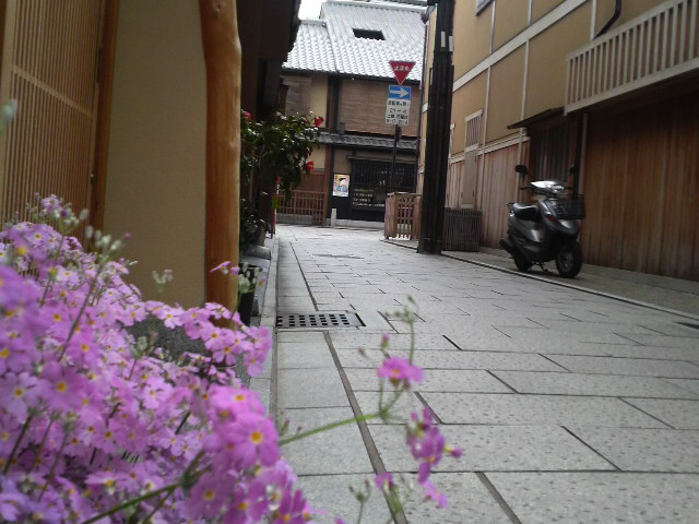 [2010031611390000-700167.jpg]