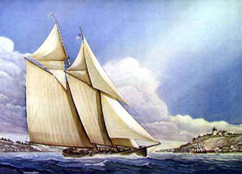 [PALHABOTE+DA+TERRA+NOVA.jpg]