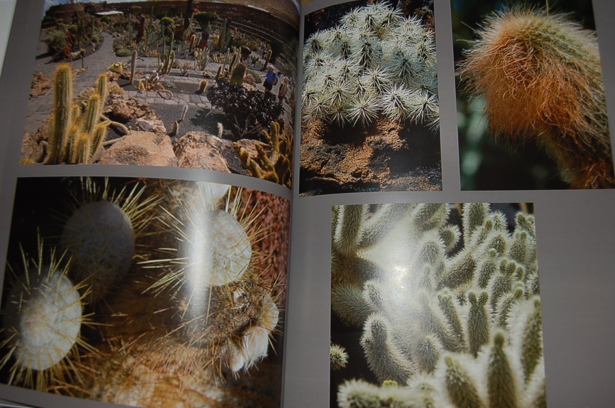 [20081007-fotolibro-03.JPG]