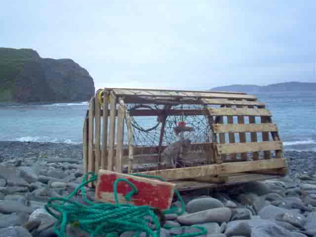 lobster pot awash