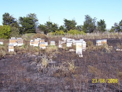 Monocultivos, sequia, agroquimicos, incendios. Un sector que anelan que desaparezca