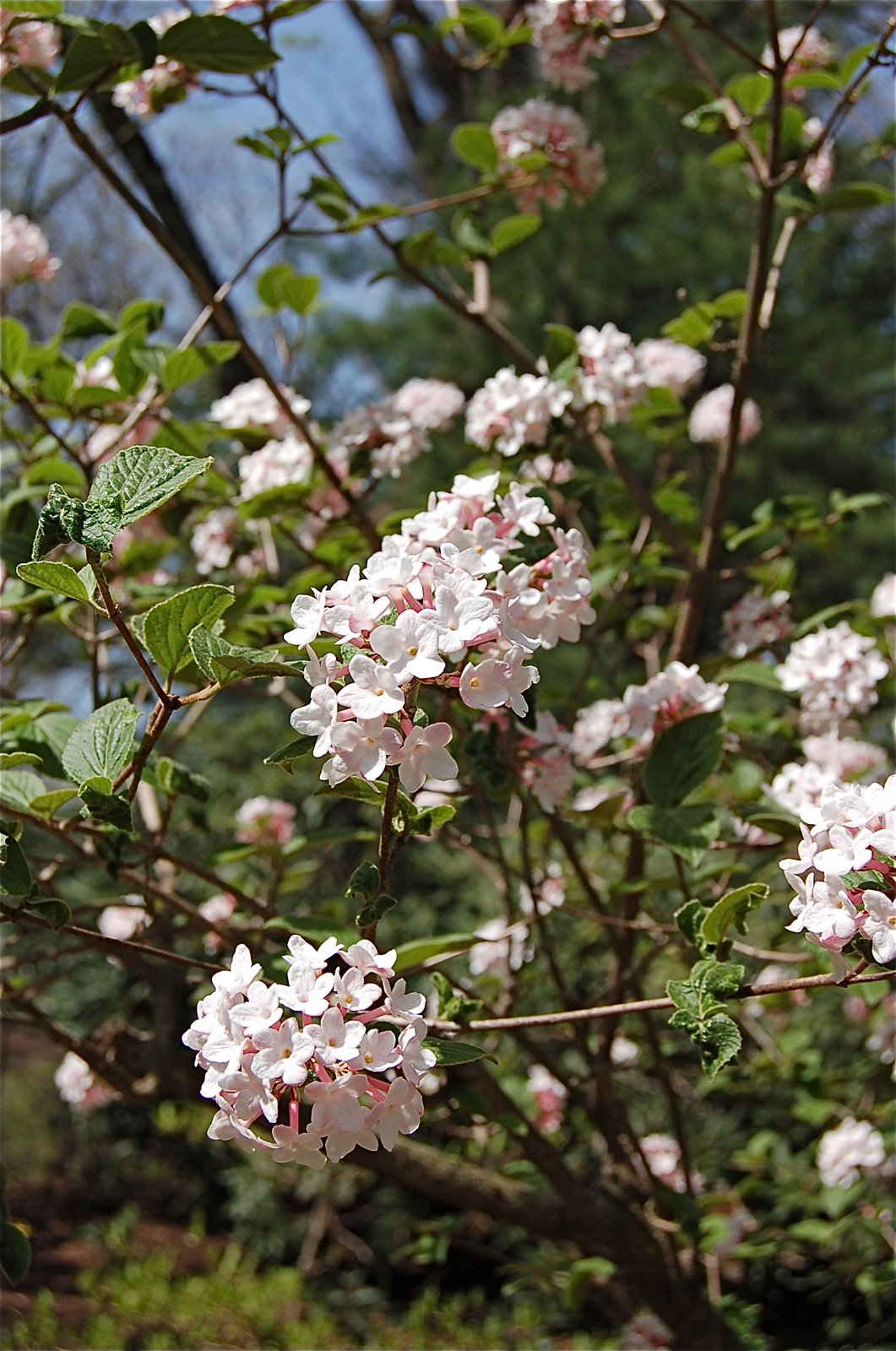 [DSC_0033.JPG]