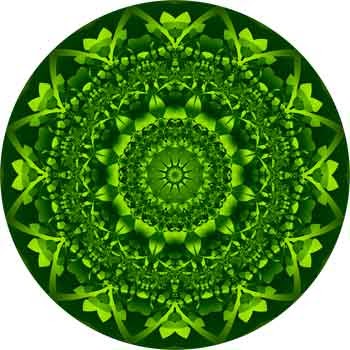anahata mandala chakras tantra mudras plexus yantra wings paulinebattell