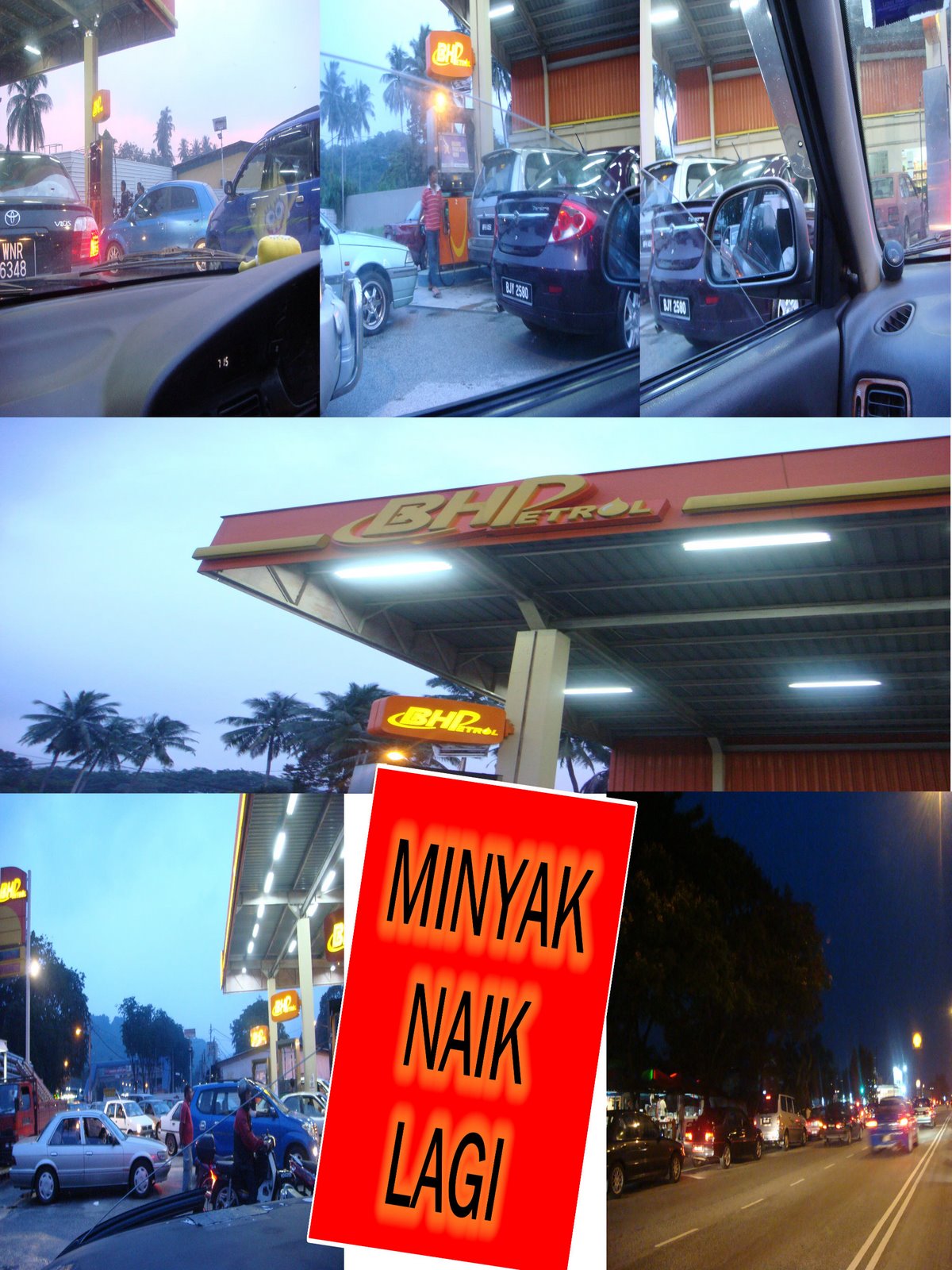 [Picture1.jpg]