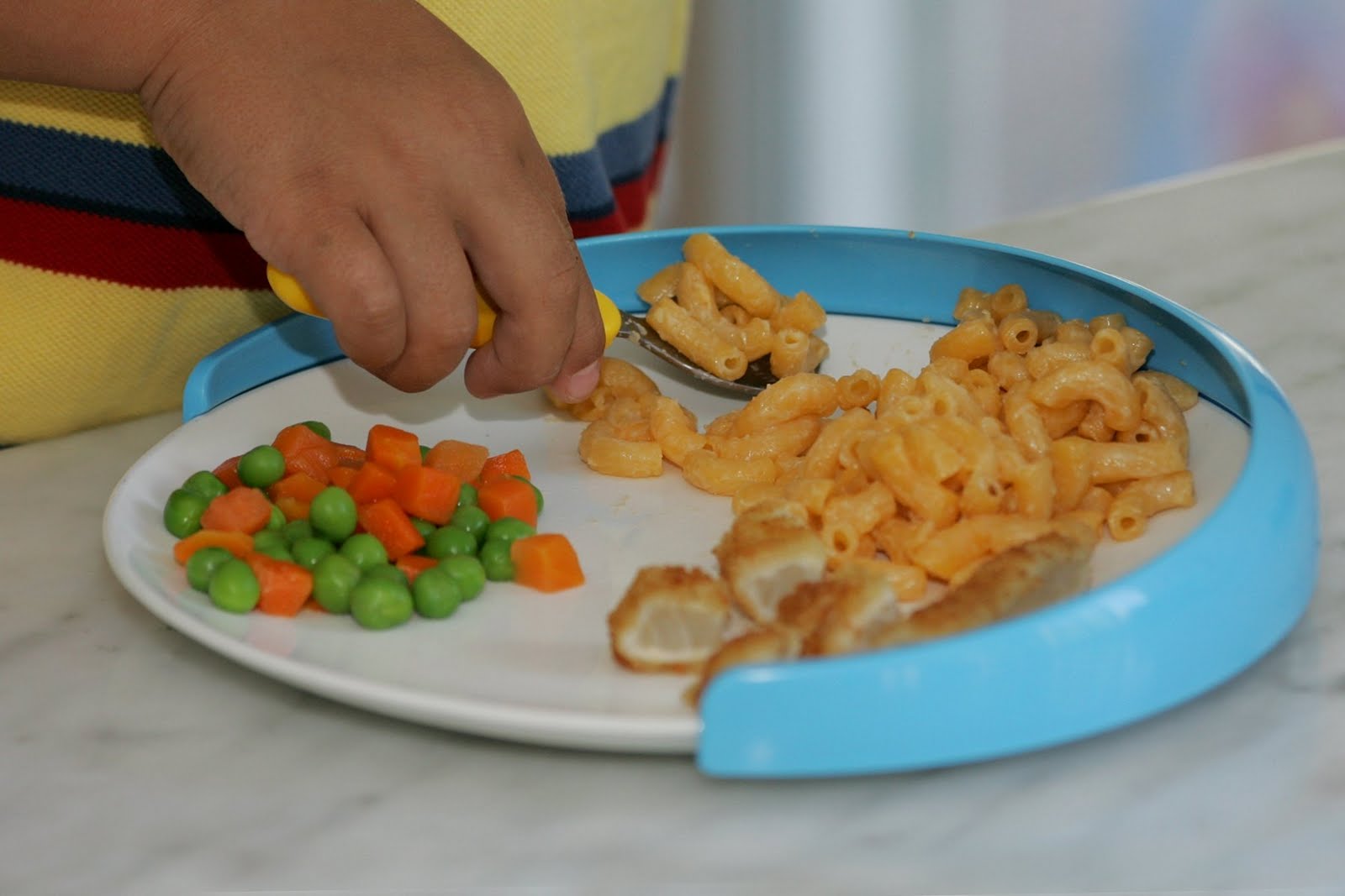 [MyPlate-Mate+3.JPG]