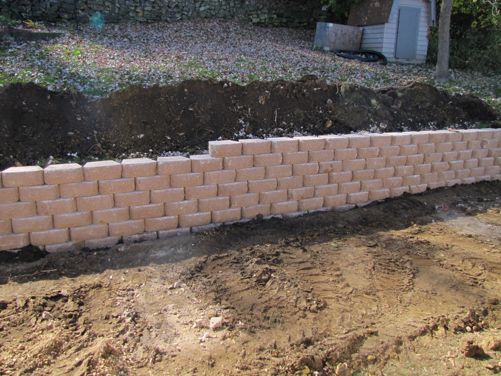 Sustainably Chic Designs: Backyard Makeover: Day 2 Progress
