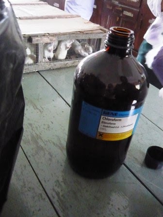 [P1010977.JPG]