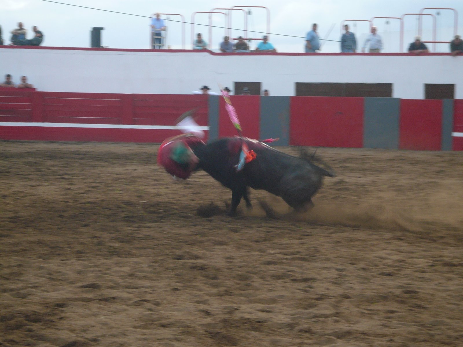 [P1030485.JPG]