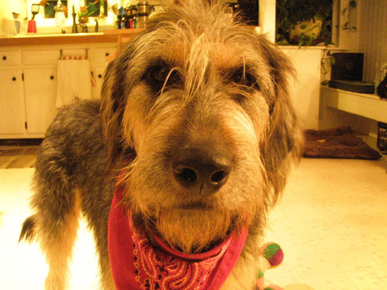 In the kitchen with Lily