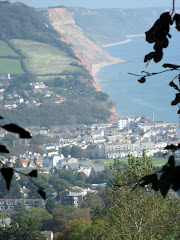The view heading down into Sidmouth