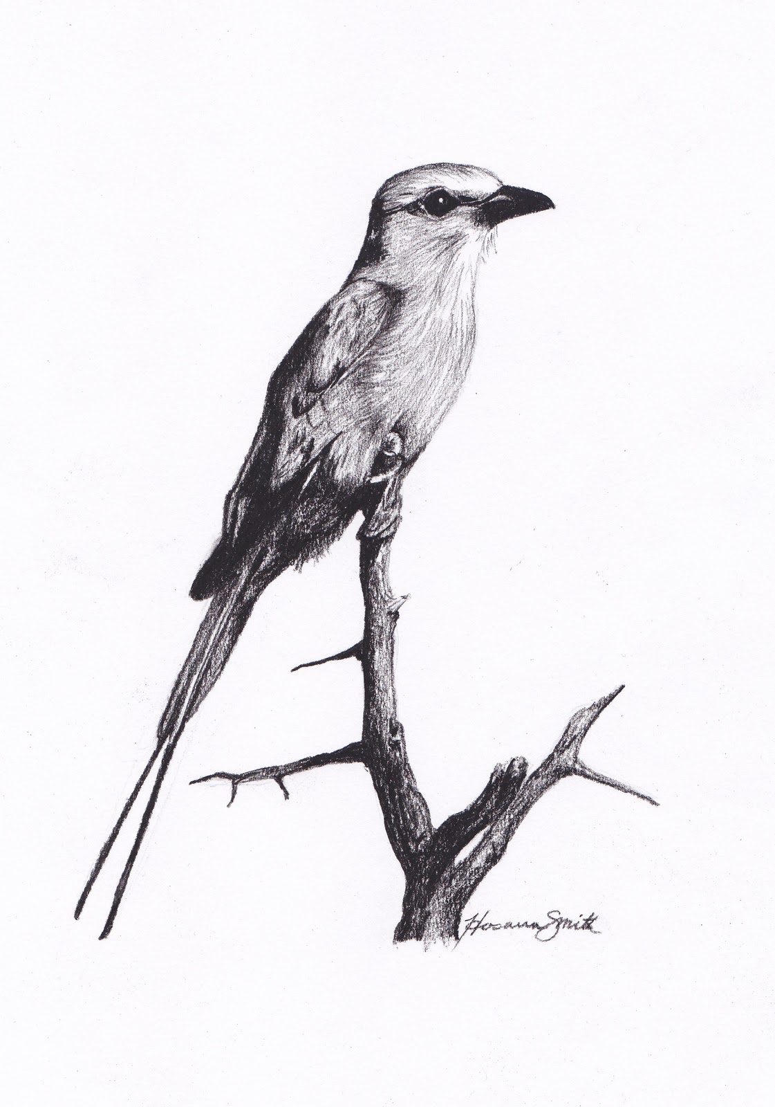 H.J. Smith Art Gallery