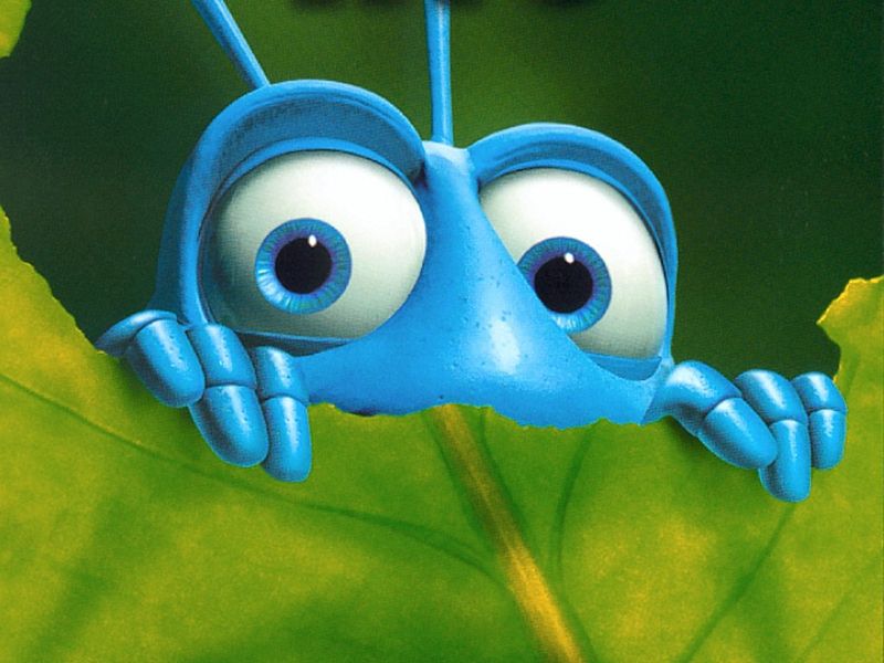[bugs.jpg]