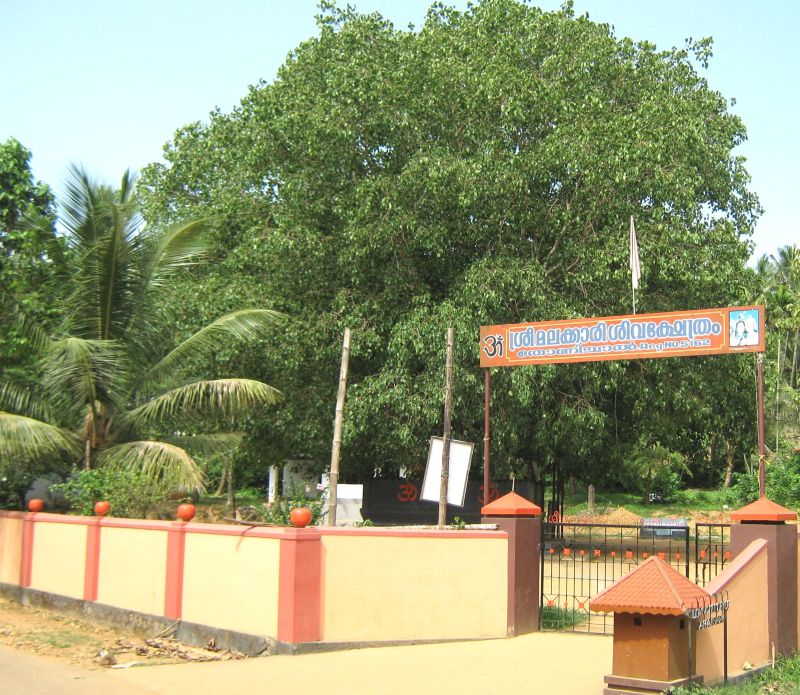 pachalloor temple